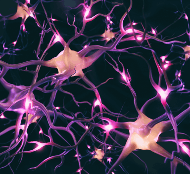 How neurons work